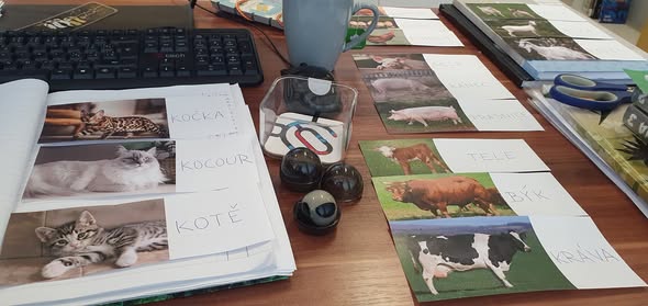 Dnes knihovnu navštívili žáci 1